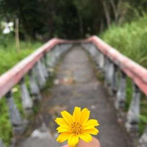 Meet your Posher, Fred